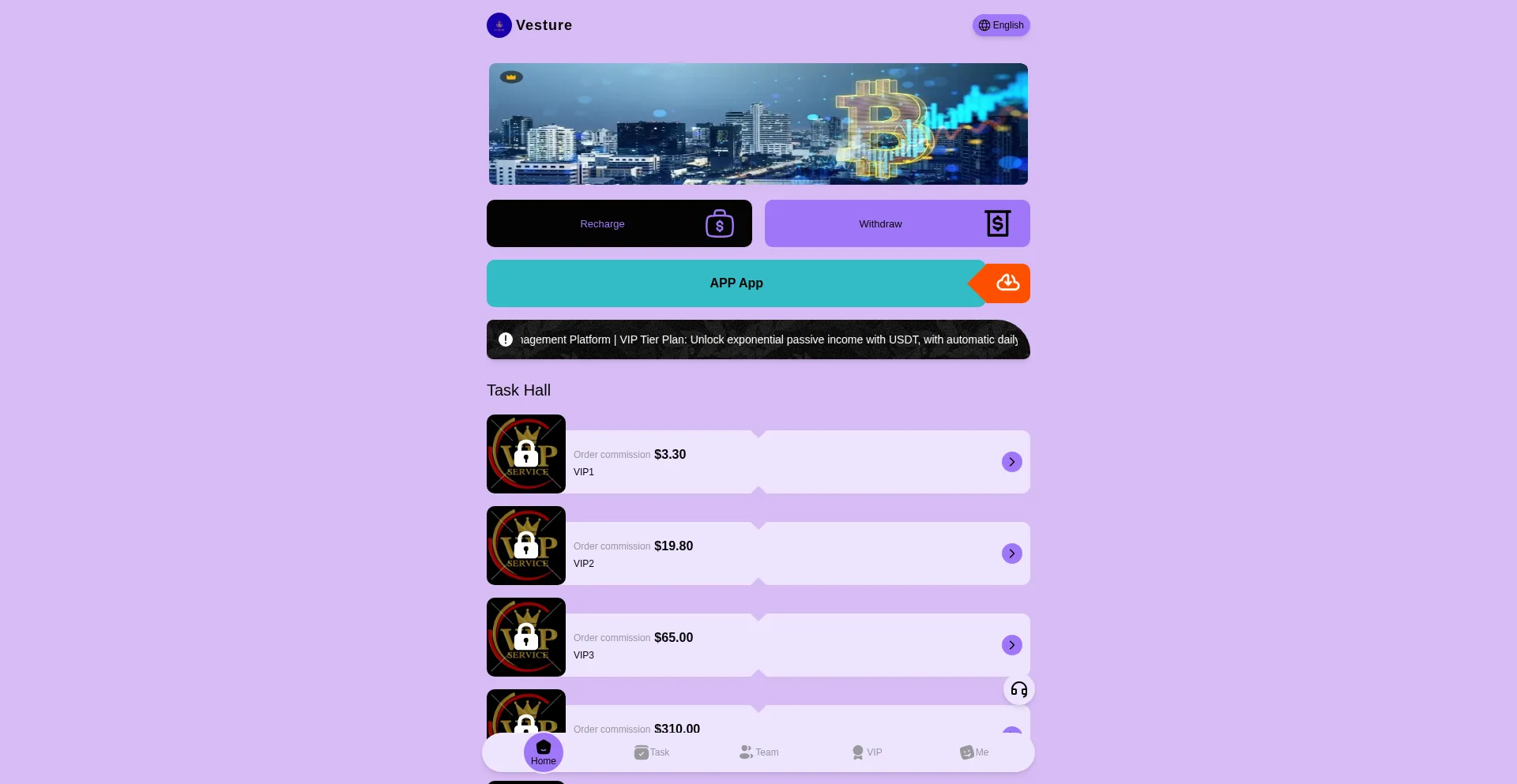 Website screenshot of Vesture-mall.com