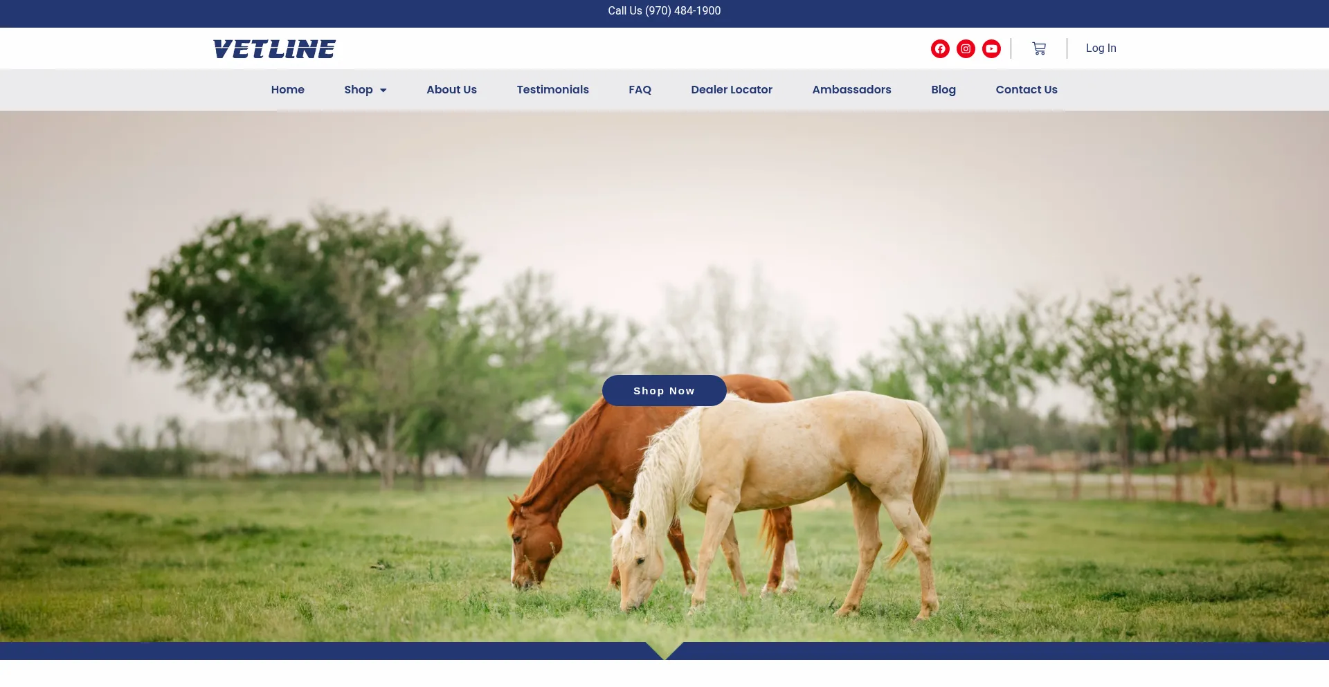 Website screenshot of Vetlineequine.com