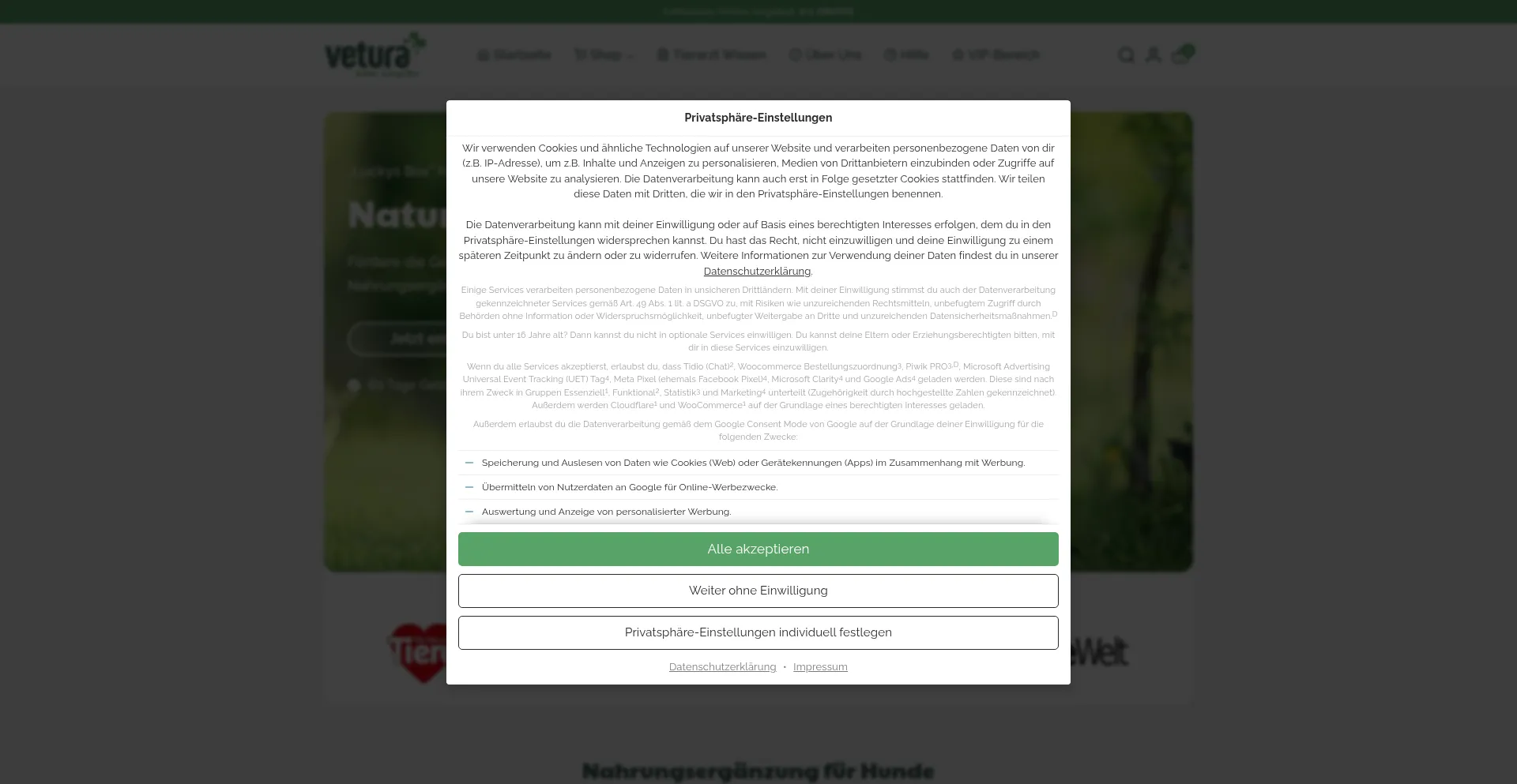 Website screenshot of Vetura.de