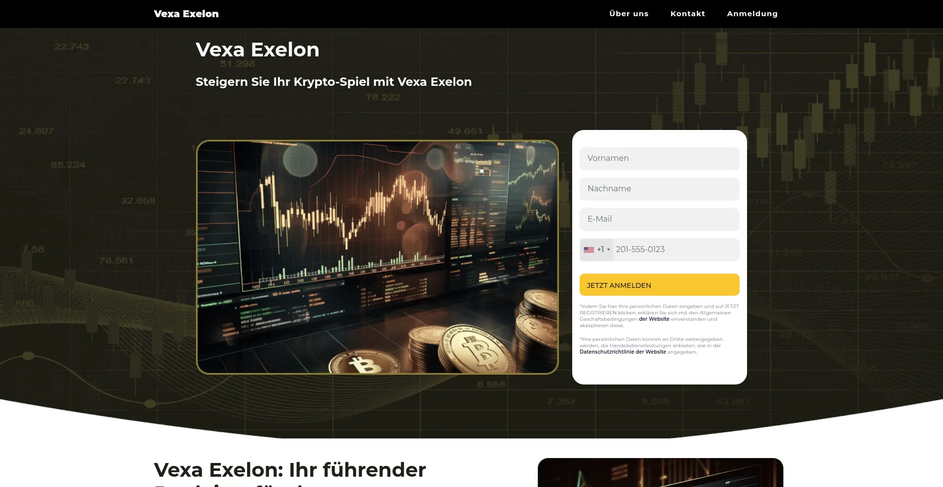 Vexaexelon-invest.org Screenshot