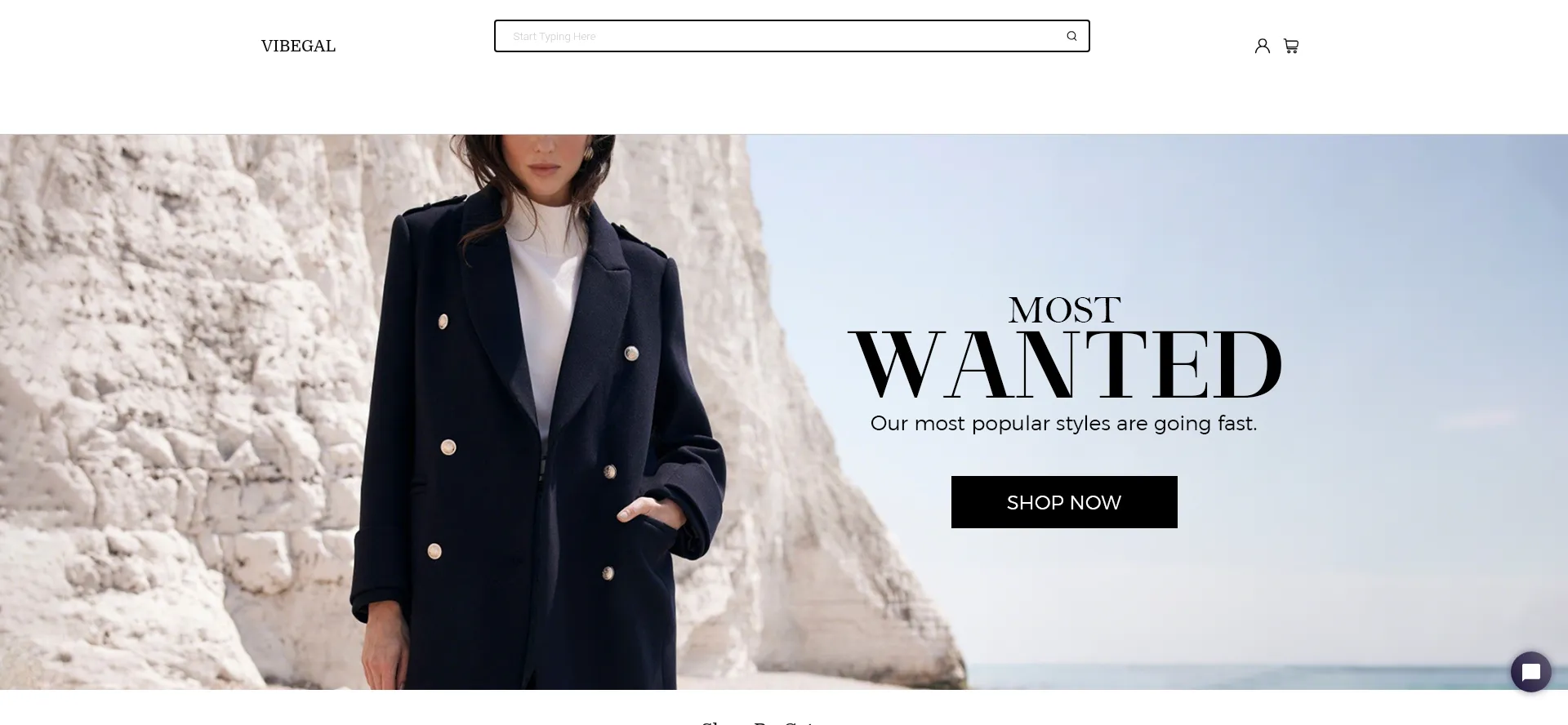 Website screenshot of Vibegal.com