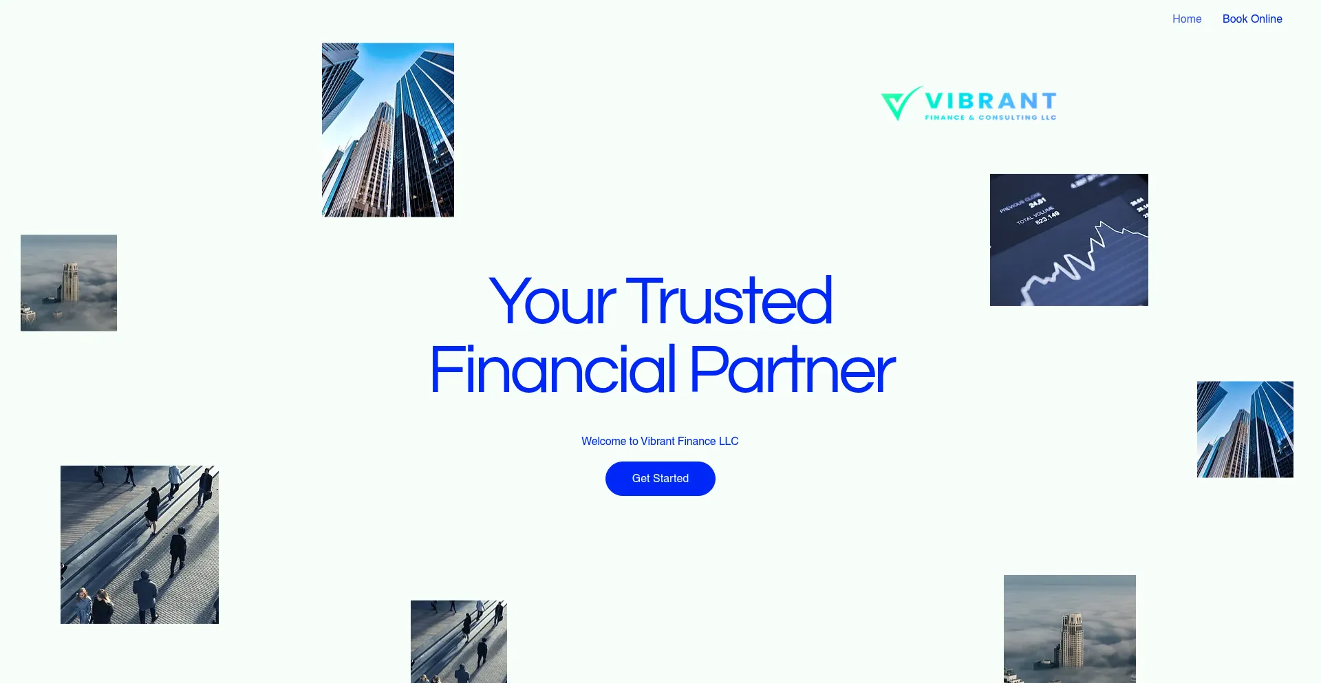 Website screenshot of Vibrantfinancellc.com