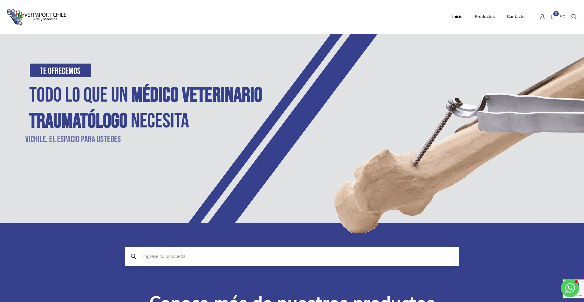 Website screenshot of Vichile.cl