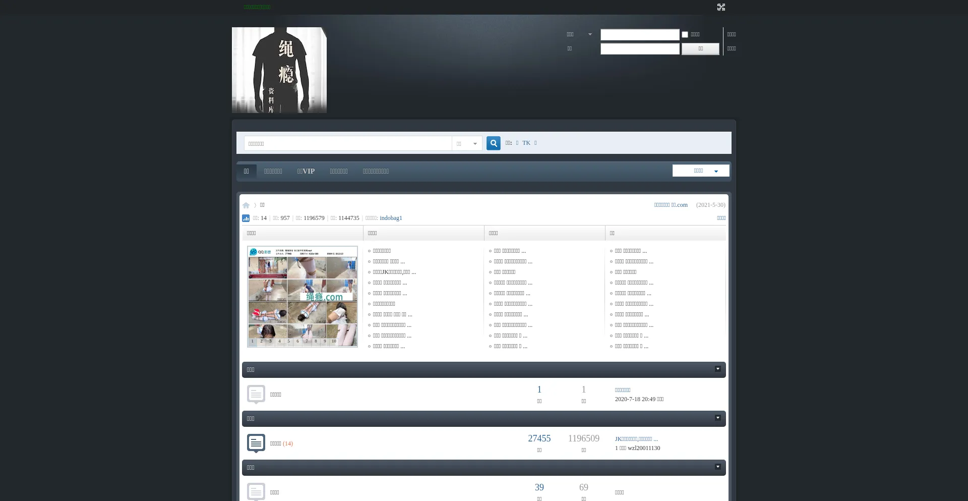 Website screenshot of Vid419.com