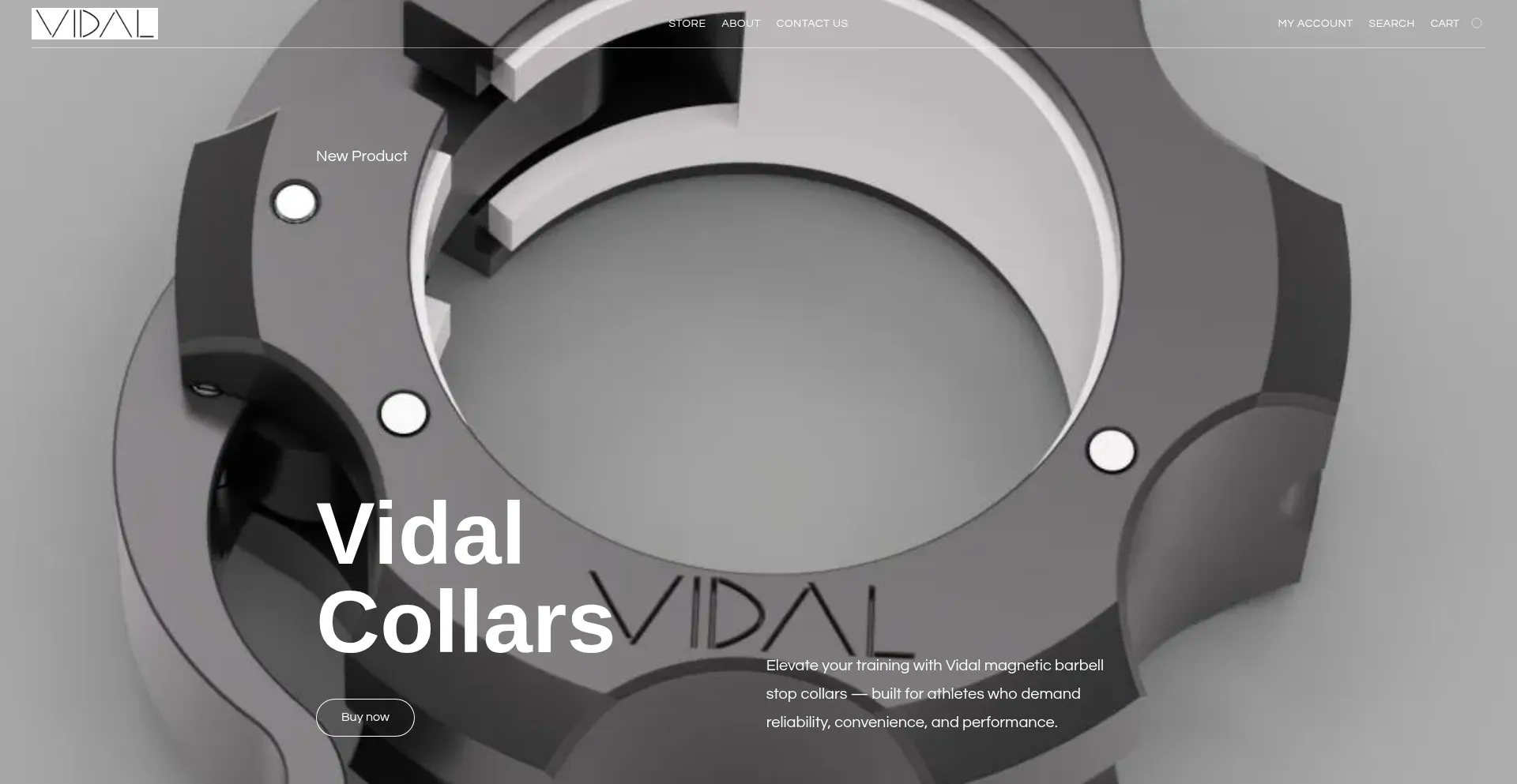 Website screenshot of Vidalinnovations.com