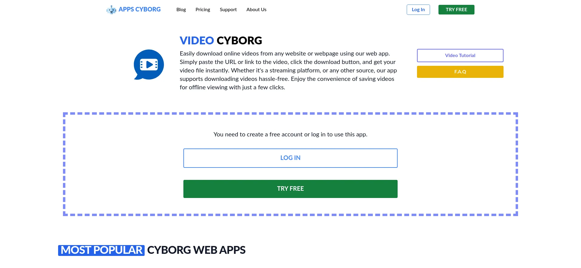 Website screenshot of Videocyborg.com