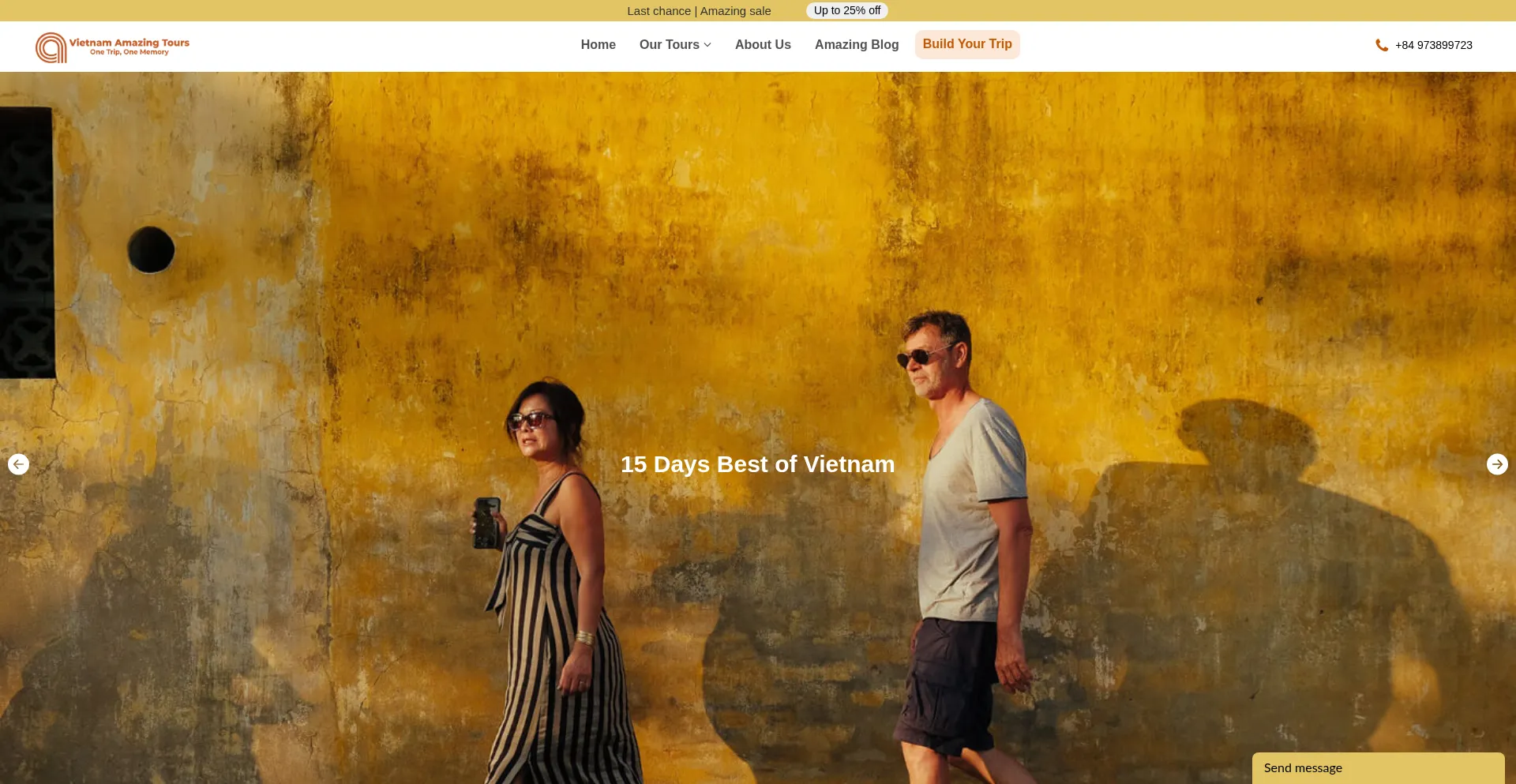 Website screenshot of Vietnamamazingtours.com