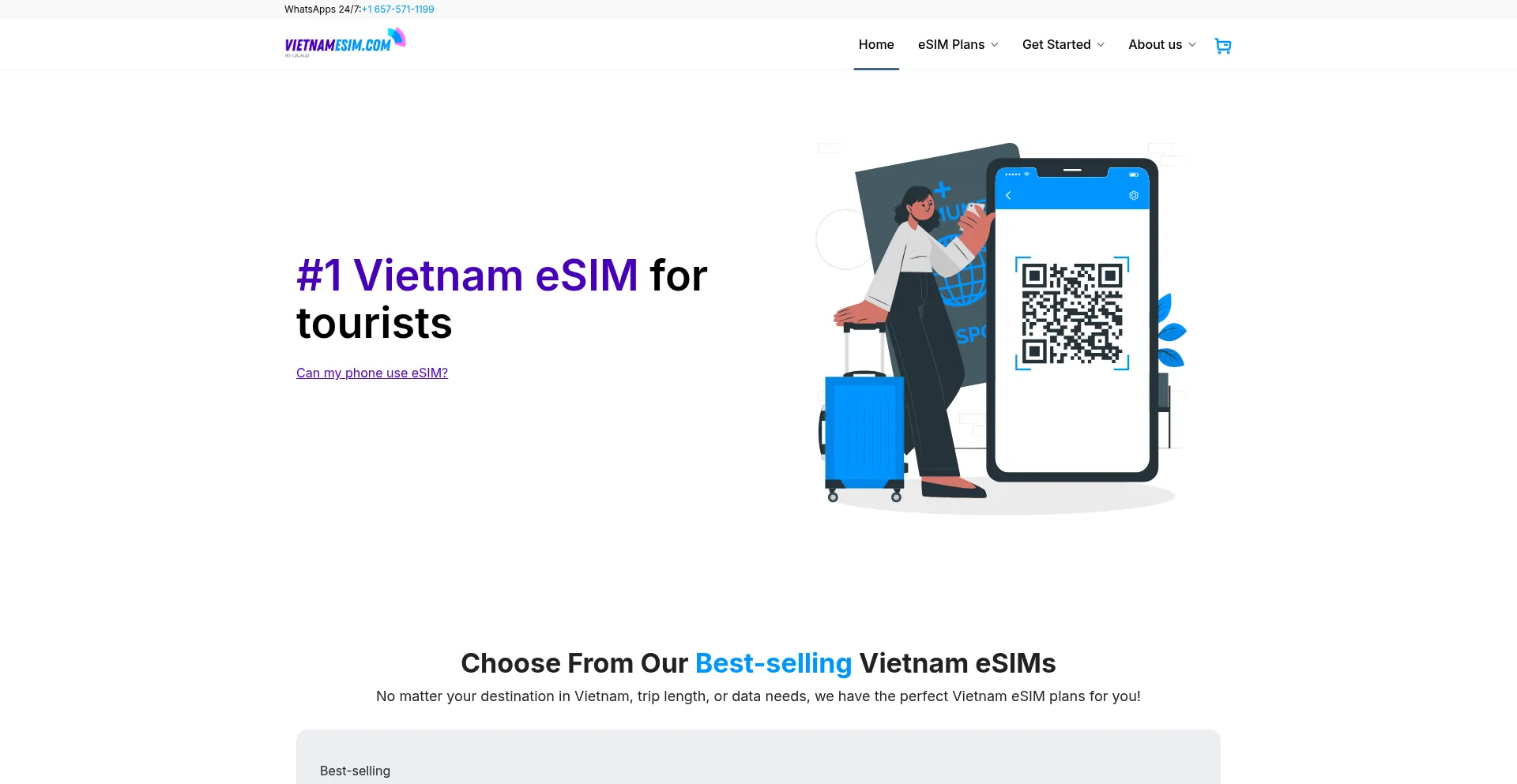 Vietnamesim.com Screenshot