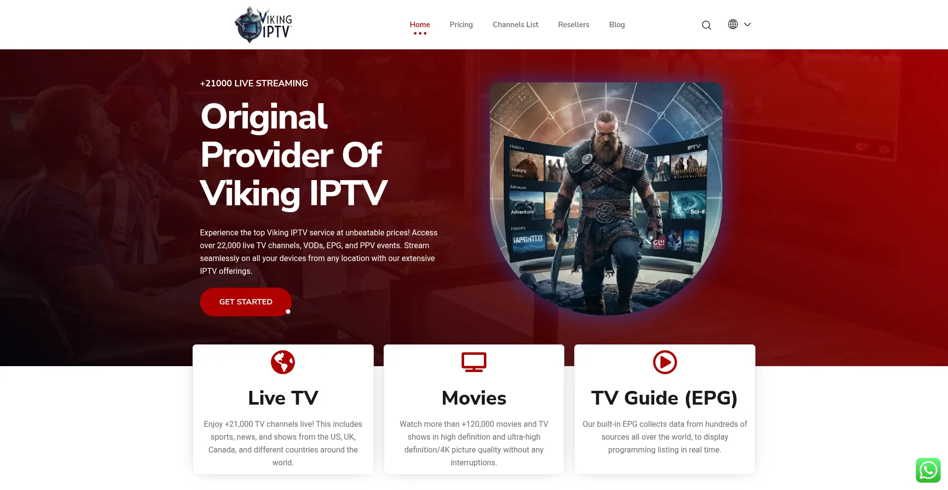 Website screenshot of Vikingiptv.online
