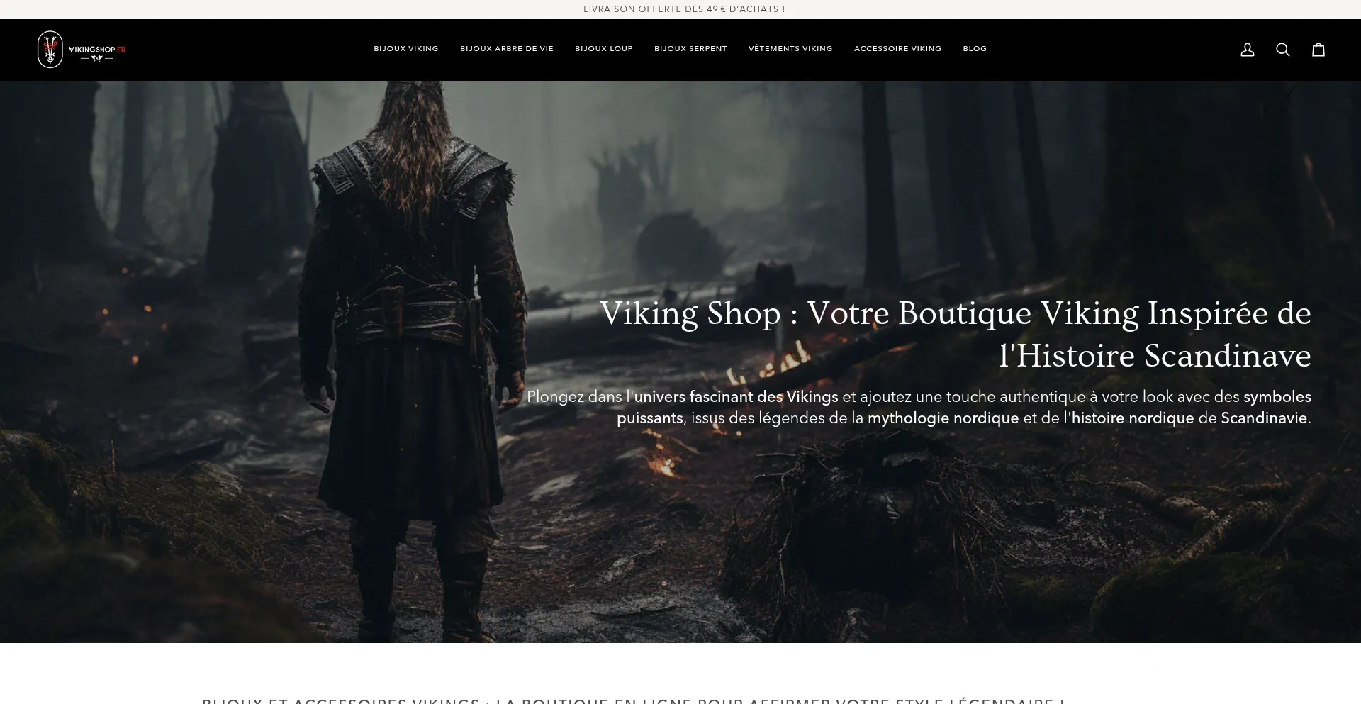 Website screenshot of Vikingshop.fr