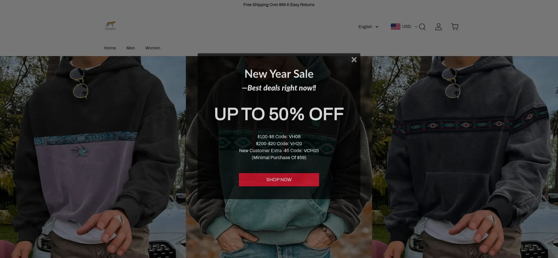 Website screenshot of Vincihot.com