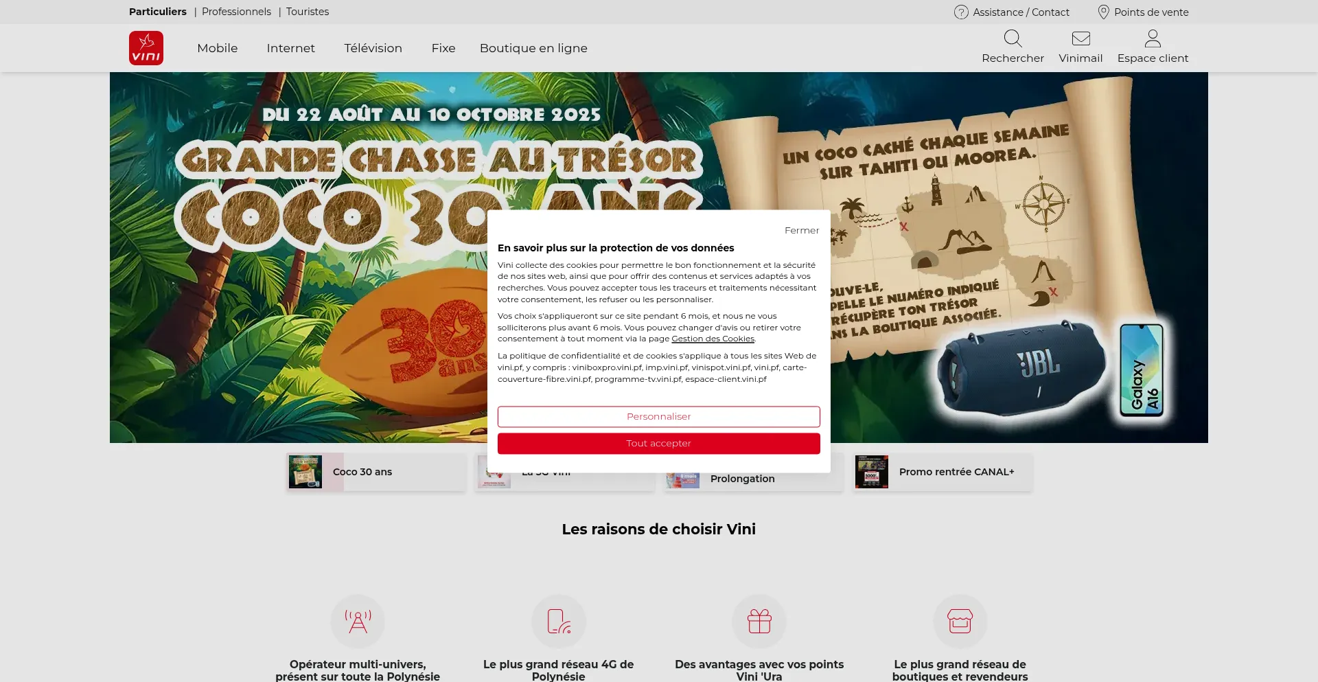 Website screenshot of Vini.pf