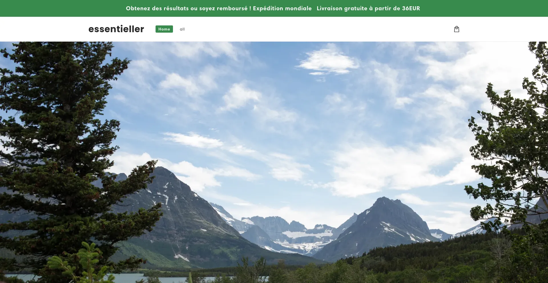 Website screenshot of Vinnerslim.shop