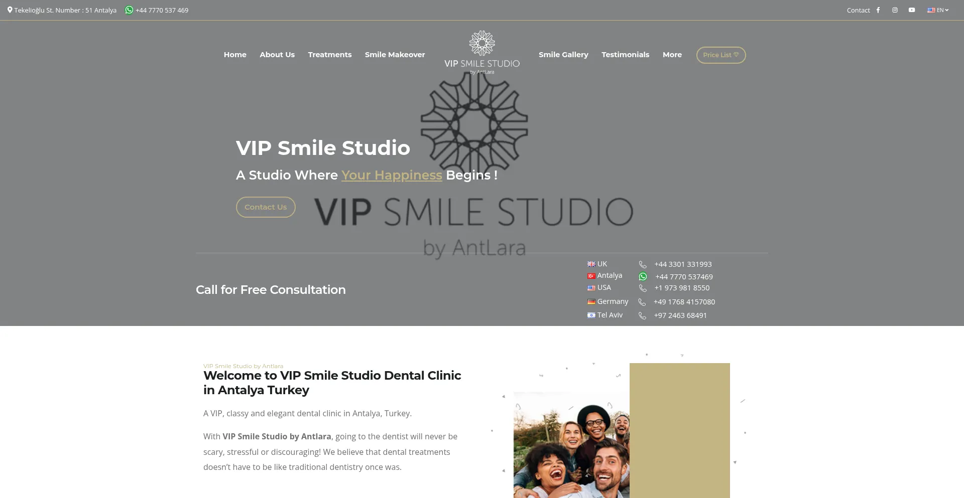 Website screenshot of Vipsmilestudio.com