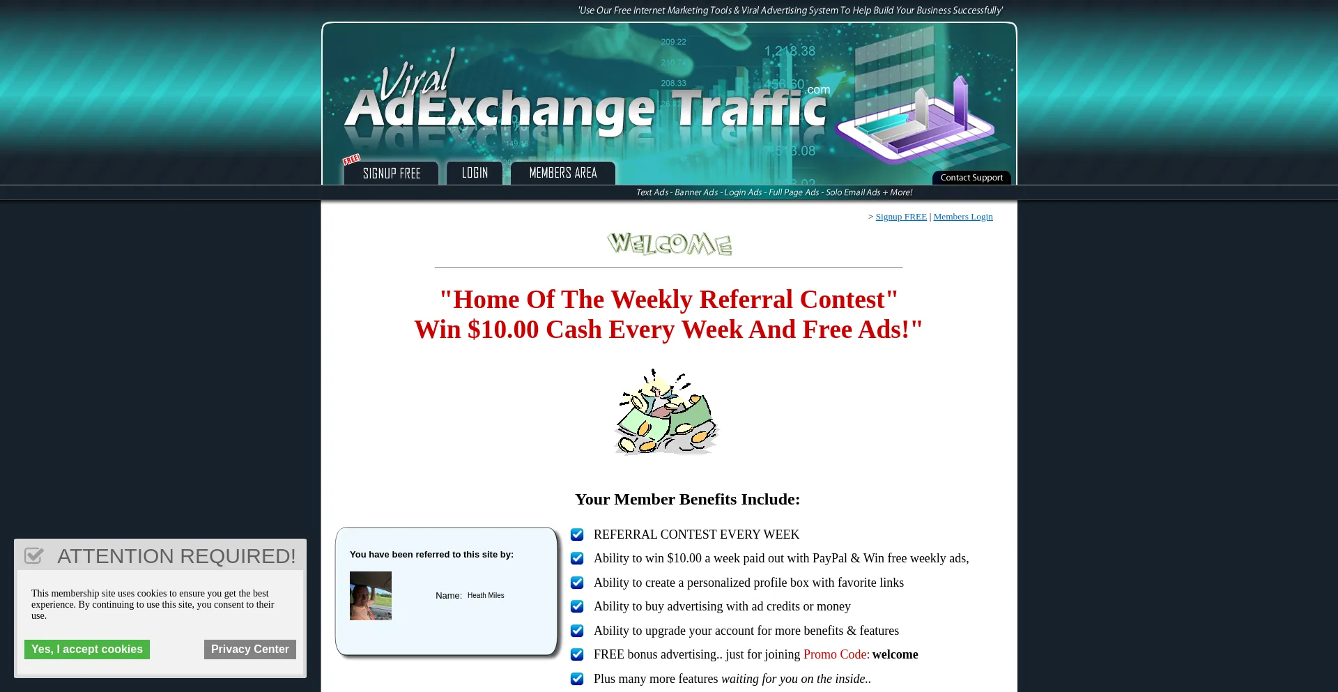 Website screenshot of Viraladexchangetraffic.com