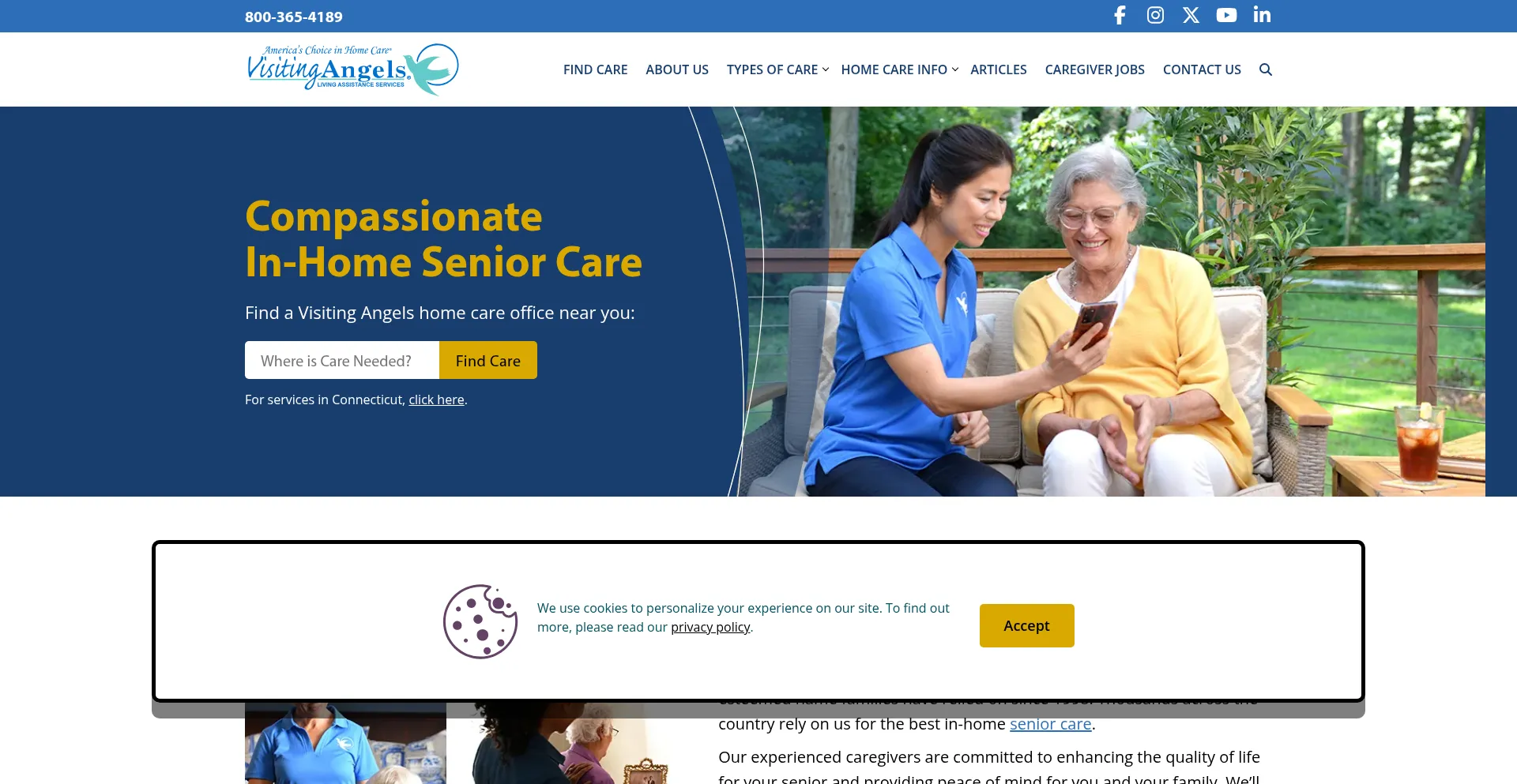Website screenshot of Visitingangels.com
