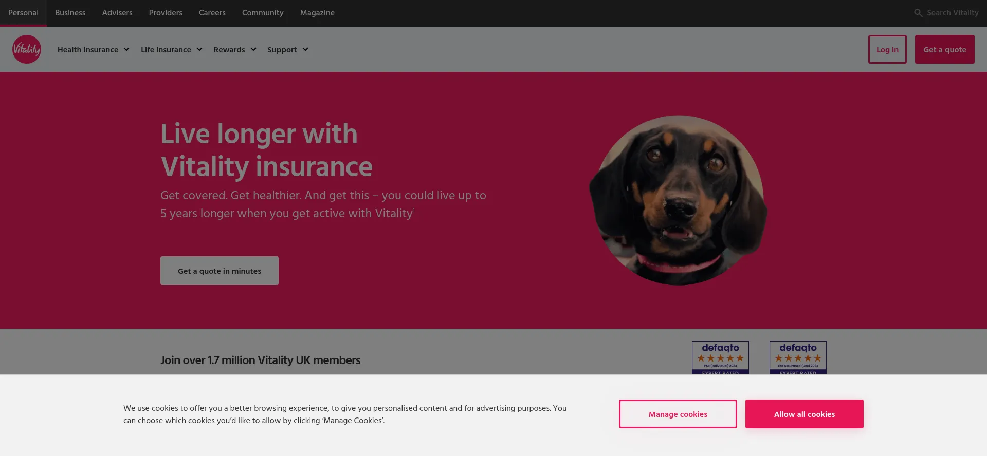 Website screenshot of Vitality.co.uk