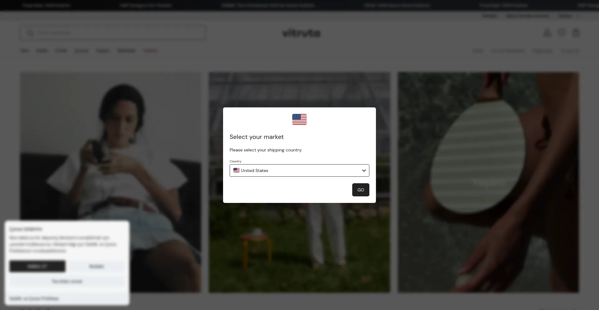 Website screenshot of Vitruta.com