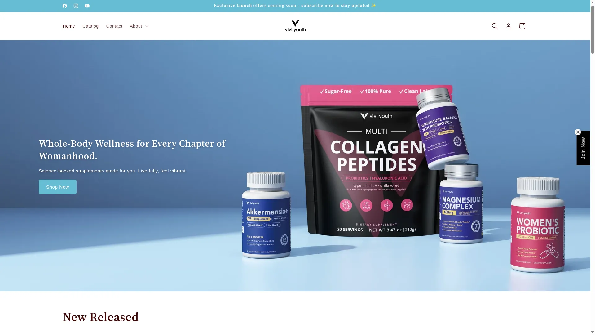 Viviyouth.com