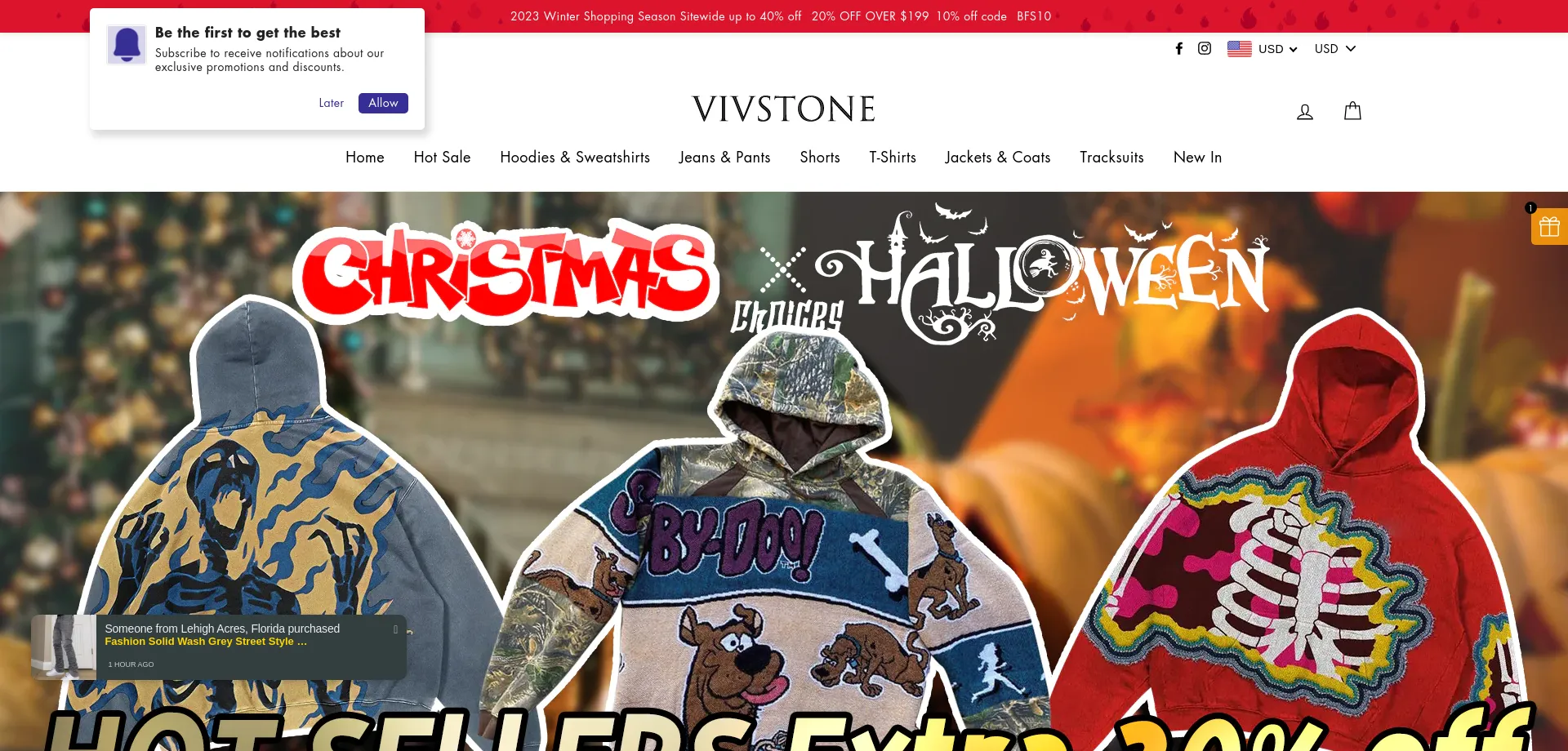 Website screenshot of Vivstone.com