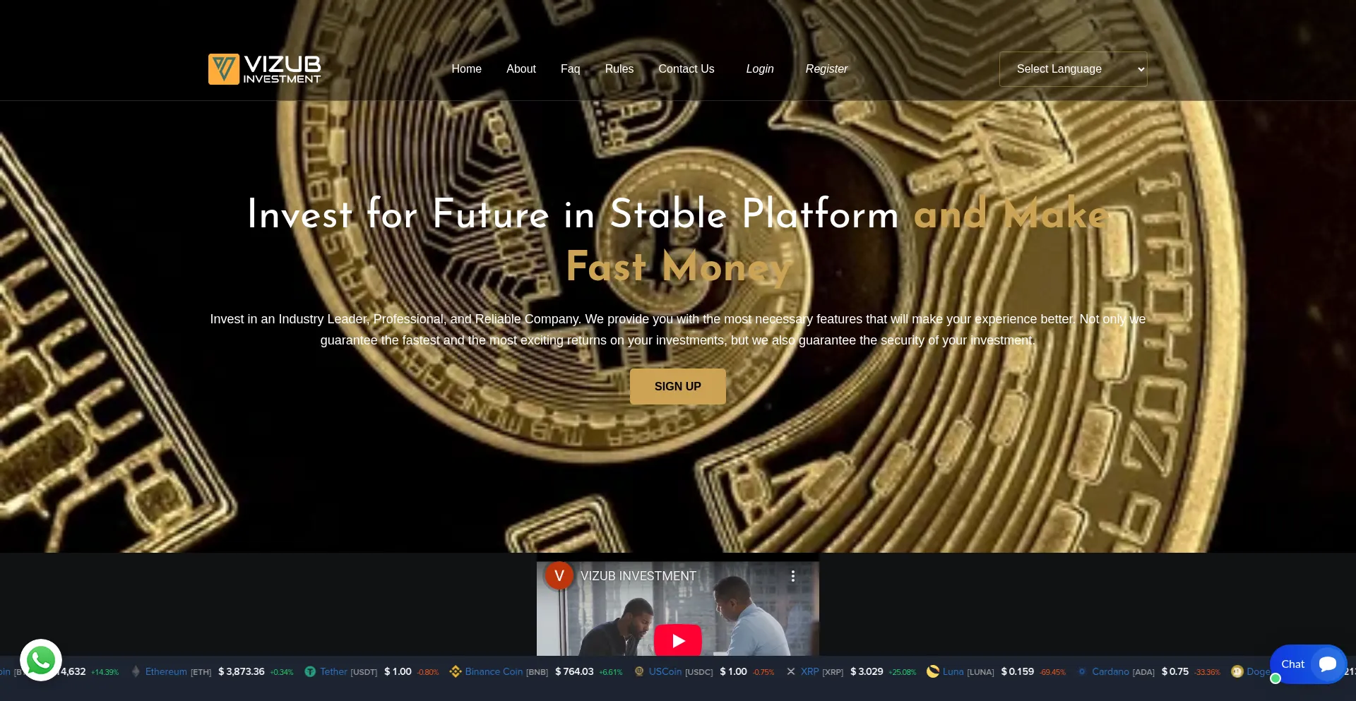 Website screenshot of Vizubinvestment.com