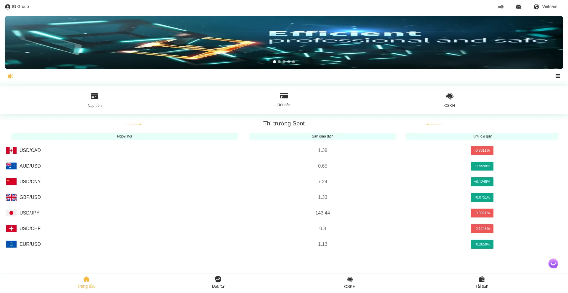 Website screenshot of Vnmfx.com