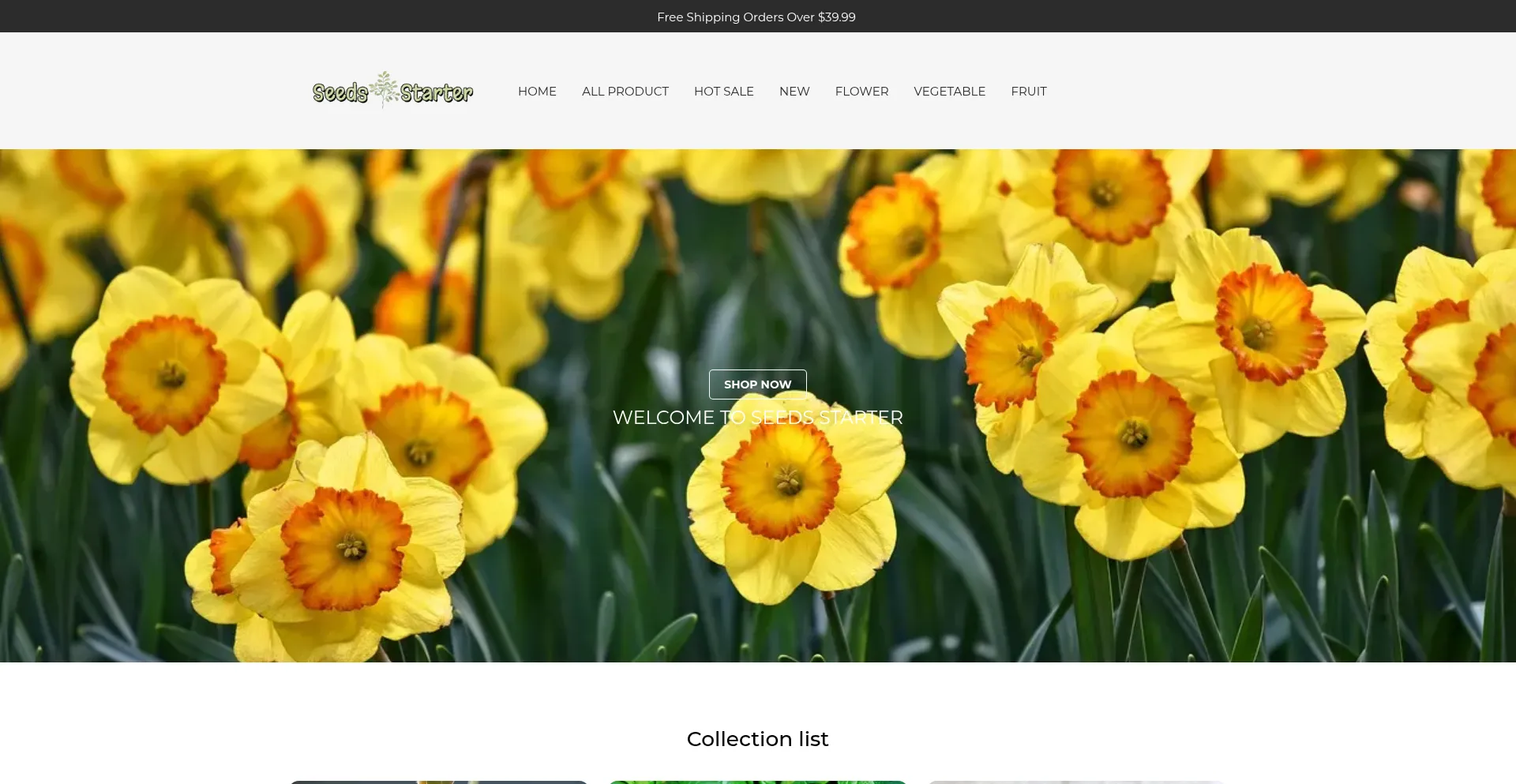 Website screenshot of Vnryla.shop