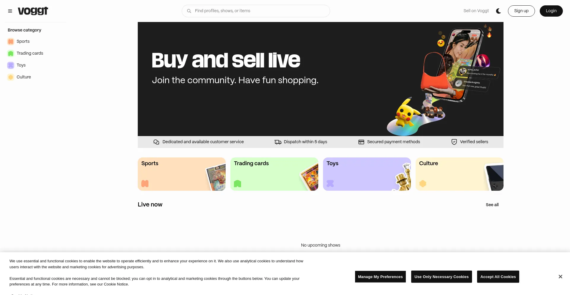 Website screenshot of Voggt.com