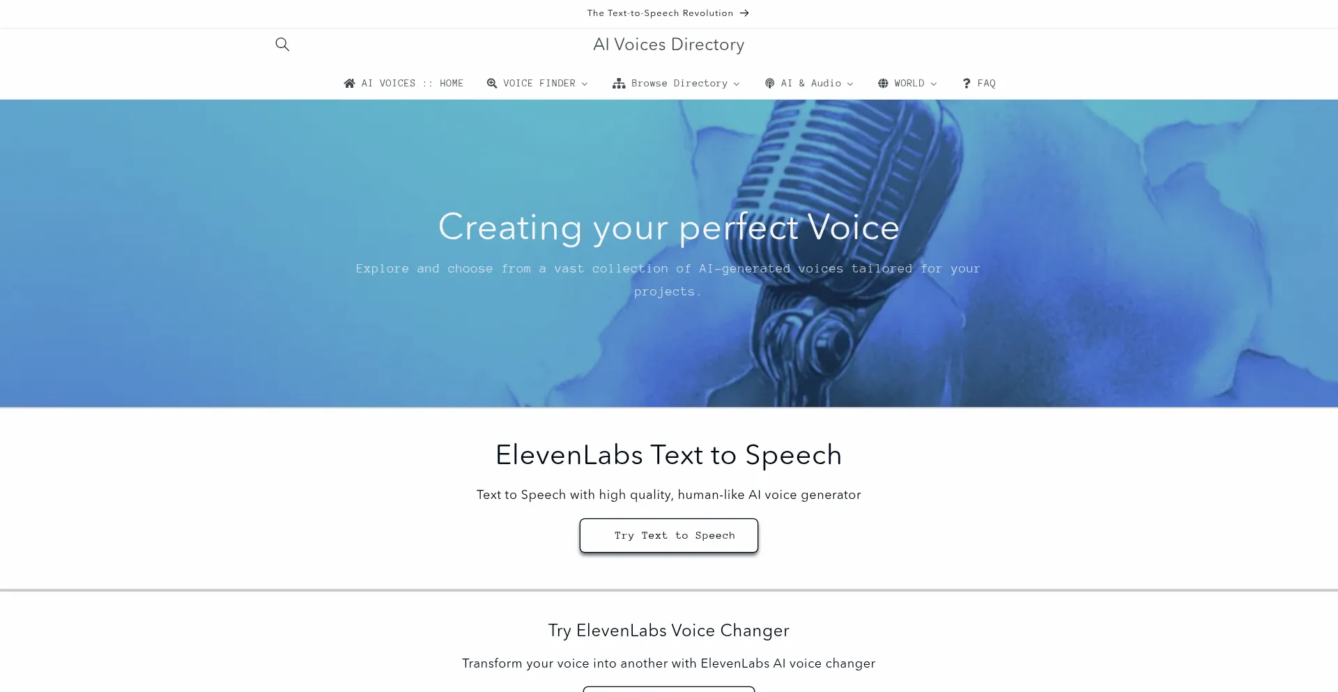 Website screenshot of Voices.directory