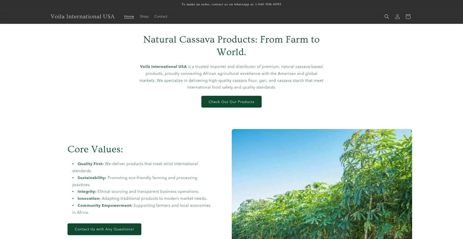 Website screenshot of Voilainternational.com