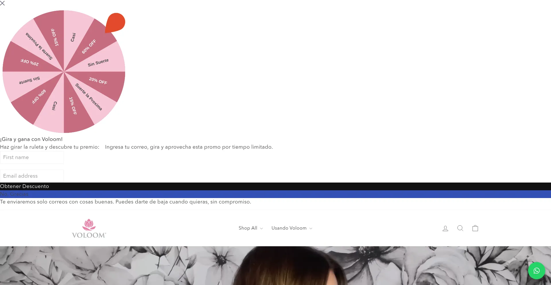 Website screenshot of Voloom.mx