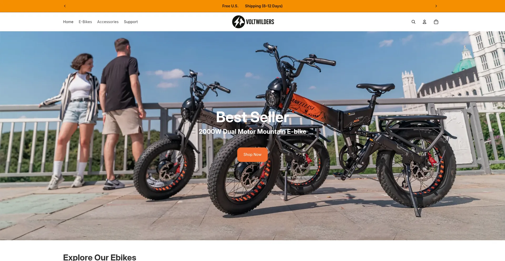 Website screenshot of Voltwilders.com
