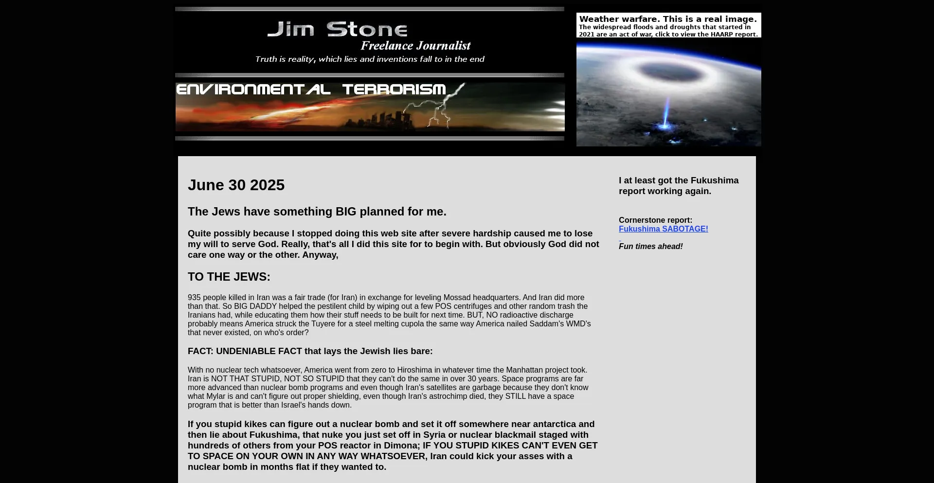 Website screenshot of Voterig.com