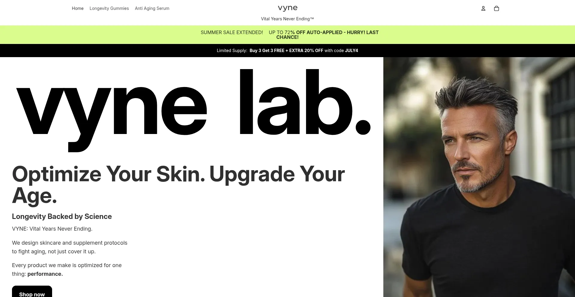 Website screenshot of Vynelab.com