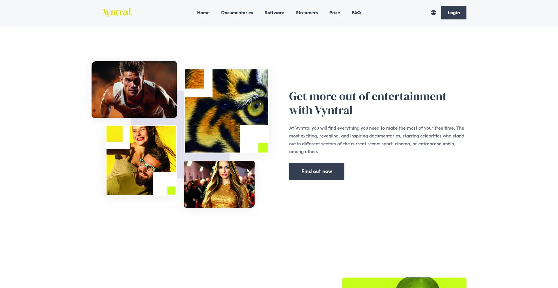 Website screenshot of Vyntral.com