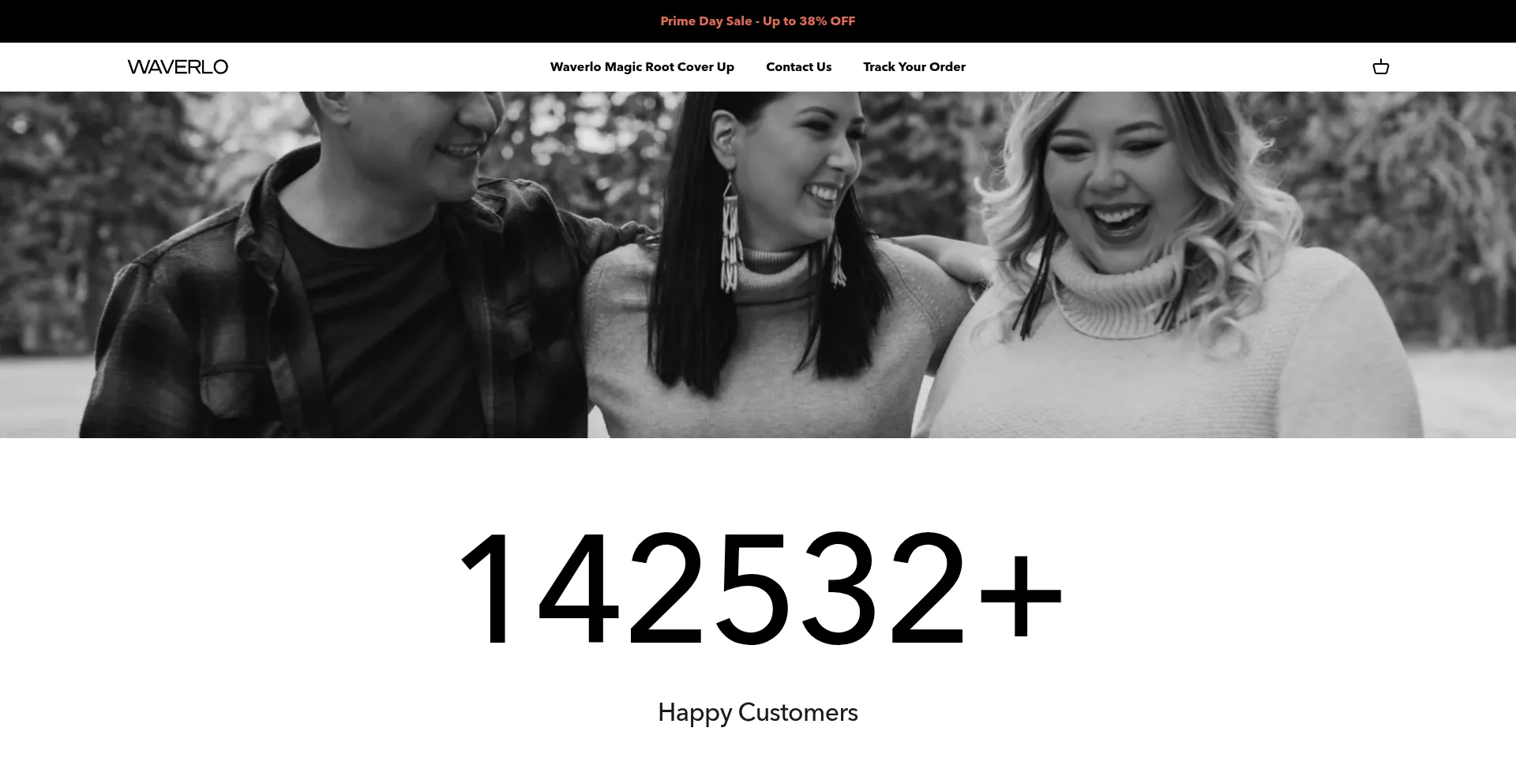 Website screenshot of Waverlo.com