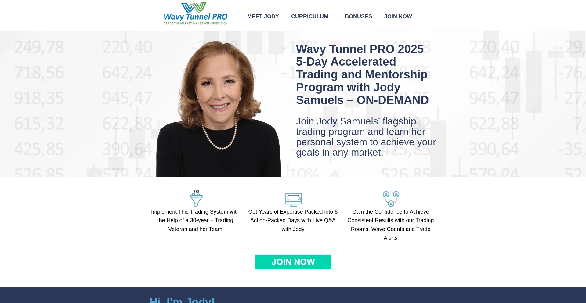 Website screenshot of Wavytunnelpro.com