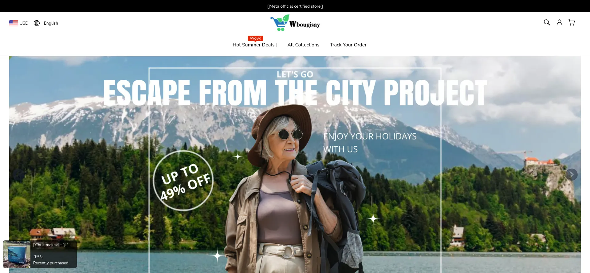 Website screenshot of Wbougisay.com