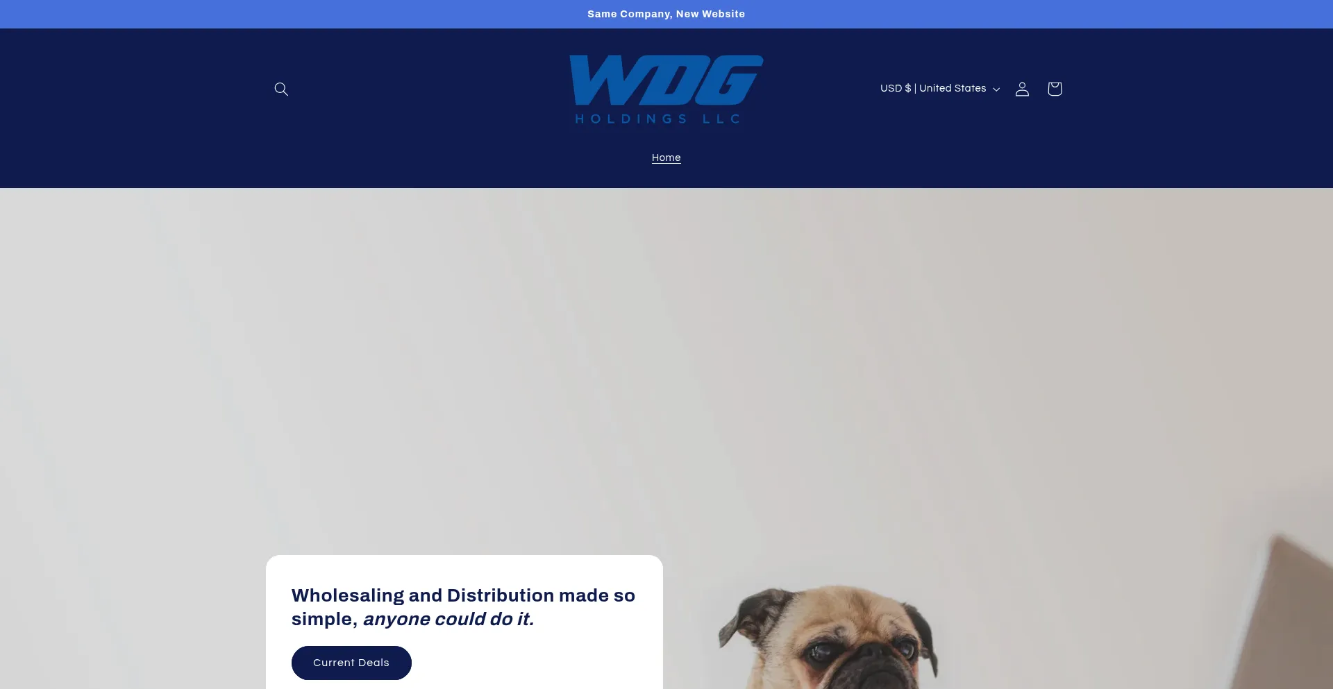 Wdgholdings.com
