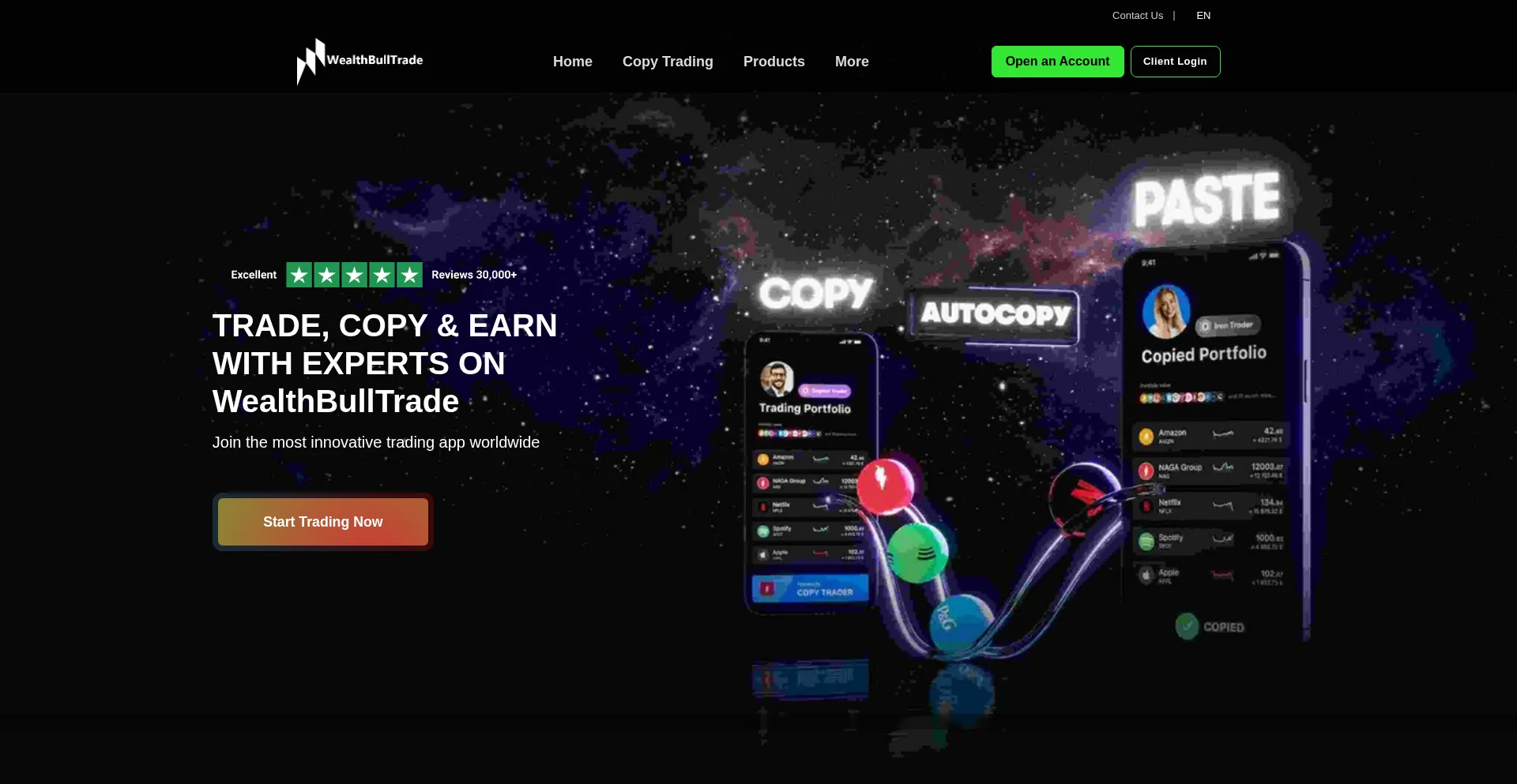 Website screenshot of Wealthbulltrade.com