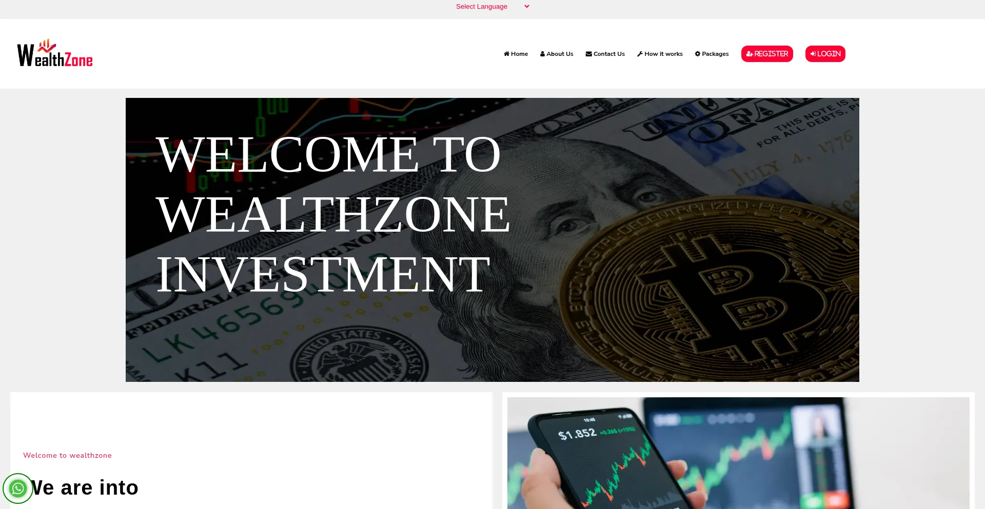 Website screenshot of Wealthzone.ink