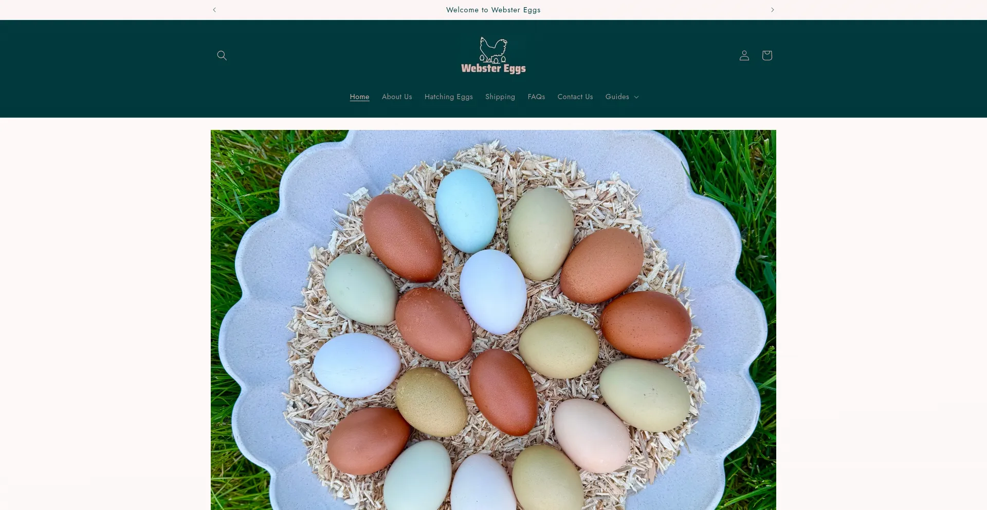 Is Webstereggs.com Safe?