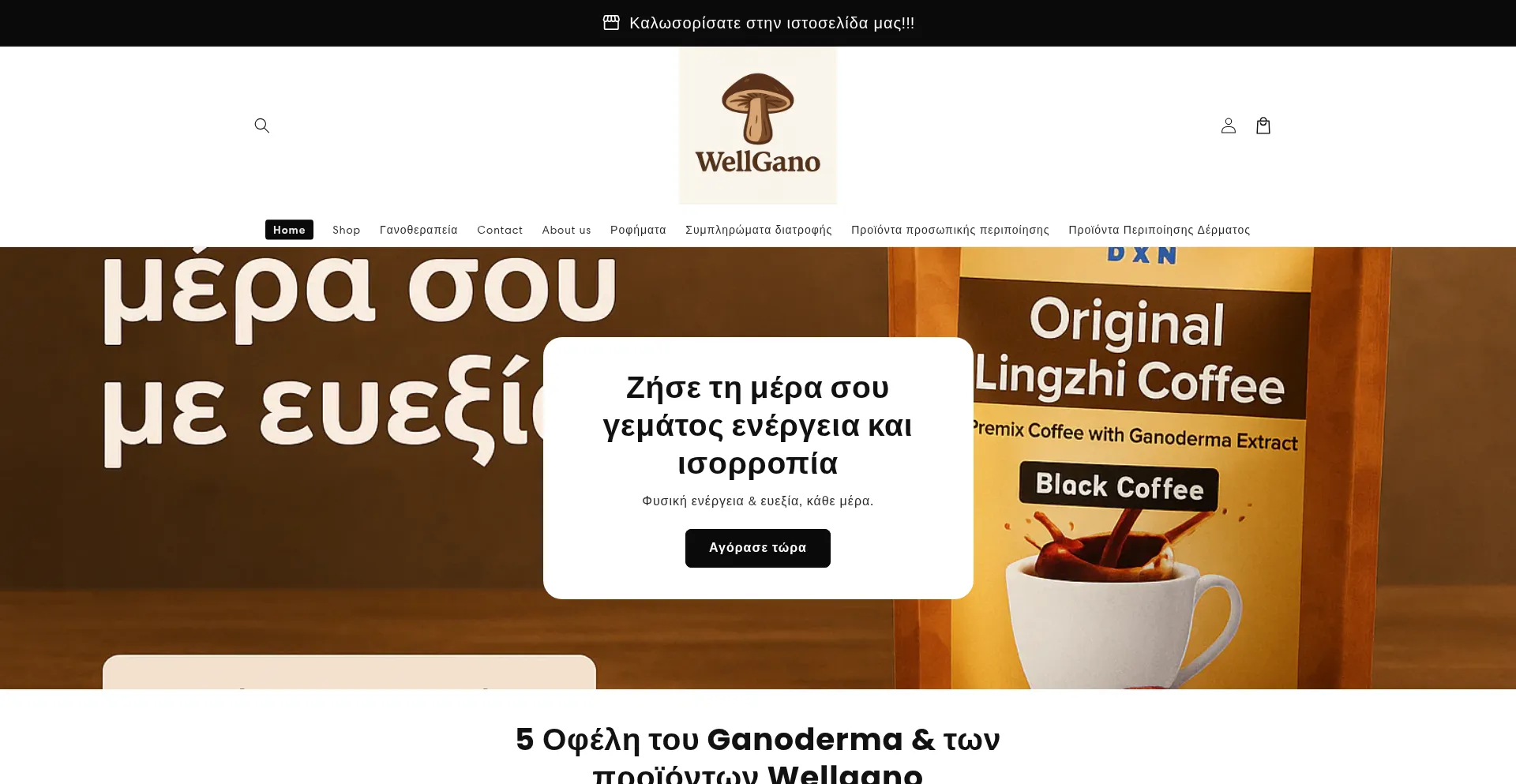 Website screenshot of Wellgano.com