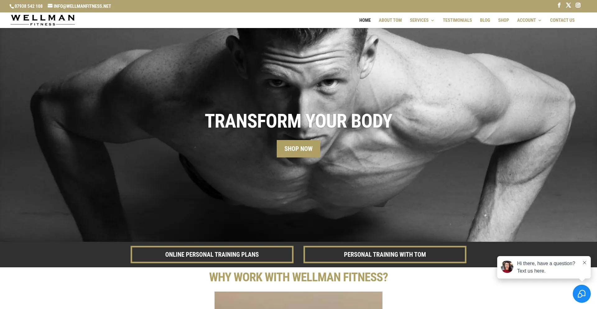 Website screenshot of Wellmanfitness.net