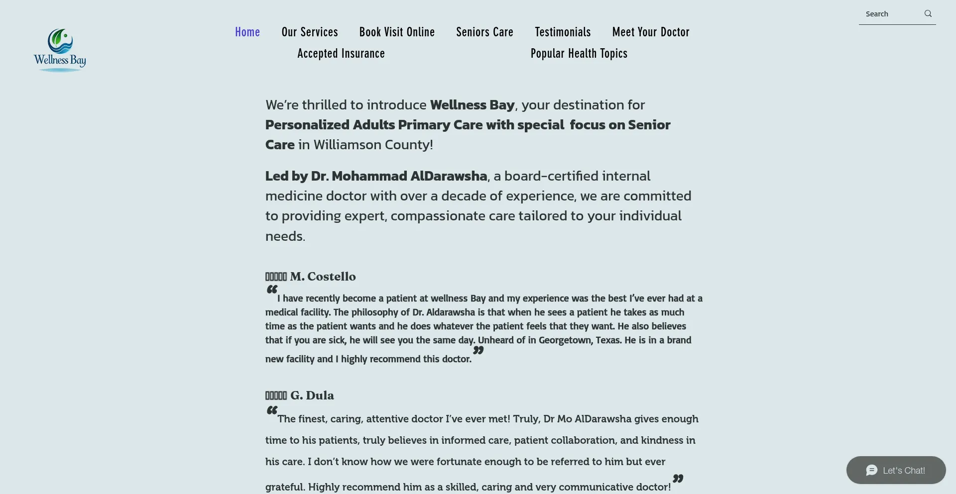 Website screenshot of Wellnessbayhealth.com