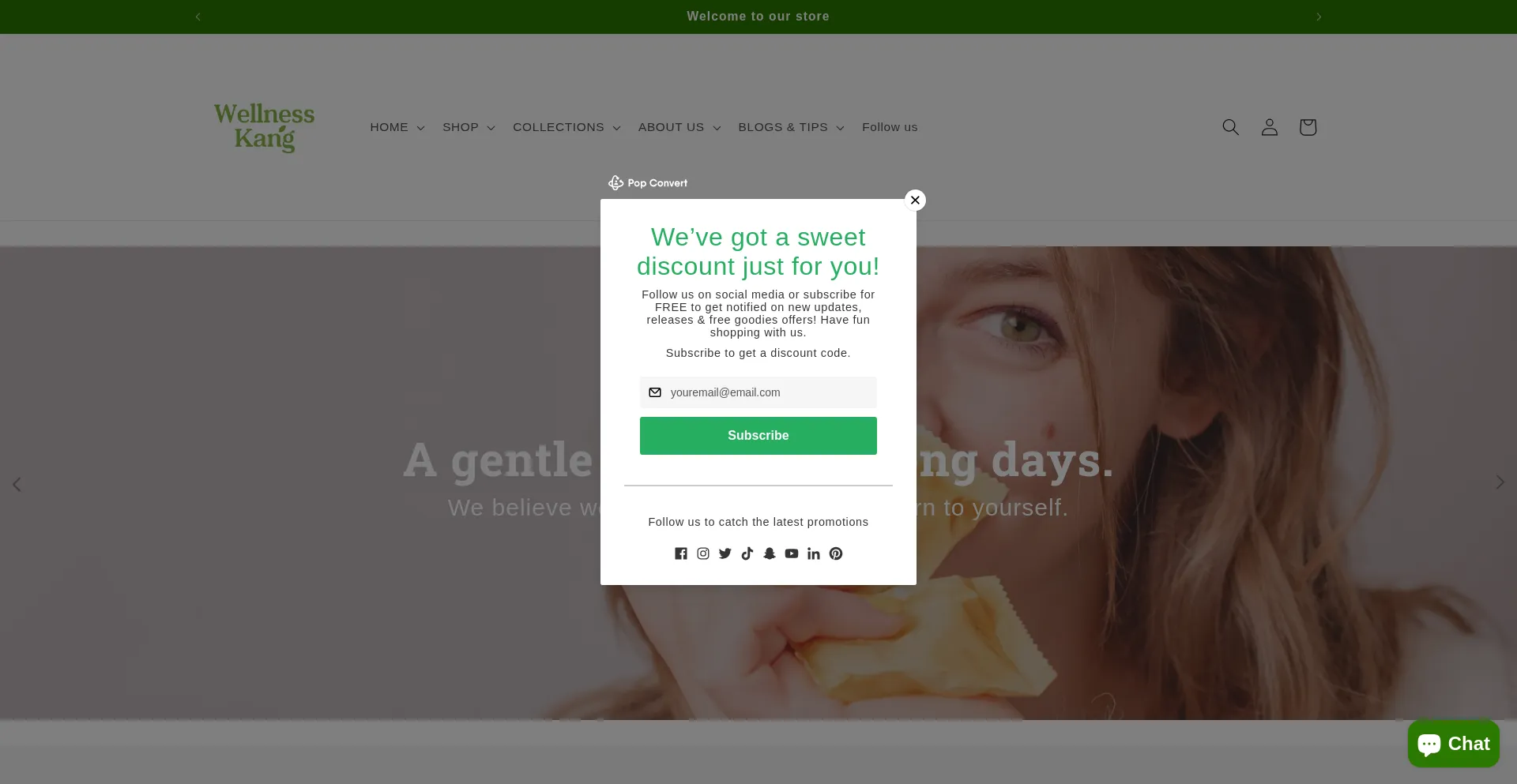 Website screenshot of Wellnesskang.com