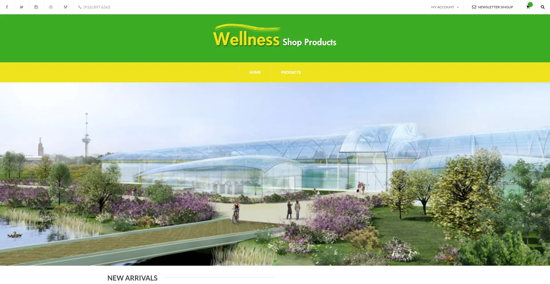 Wellnessshopproducts.com