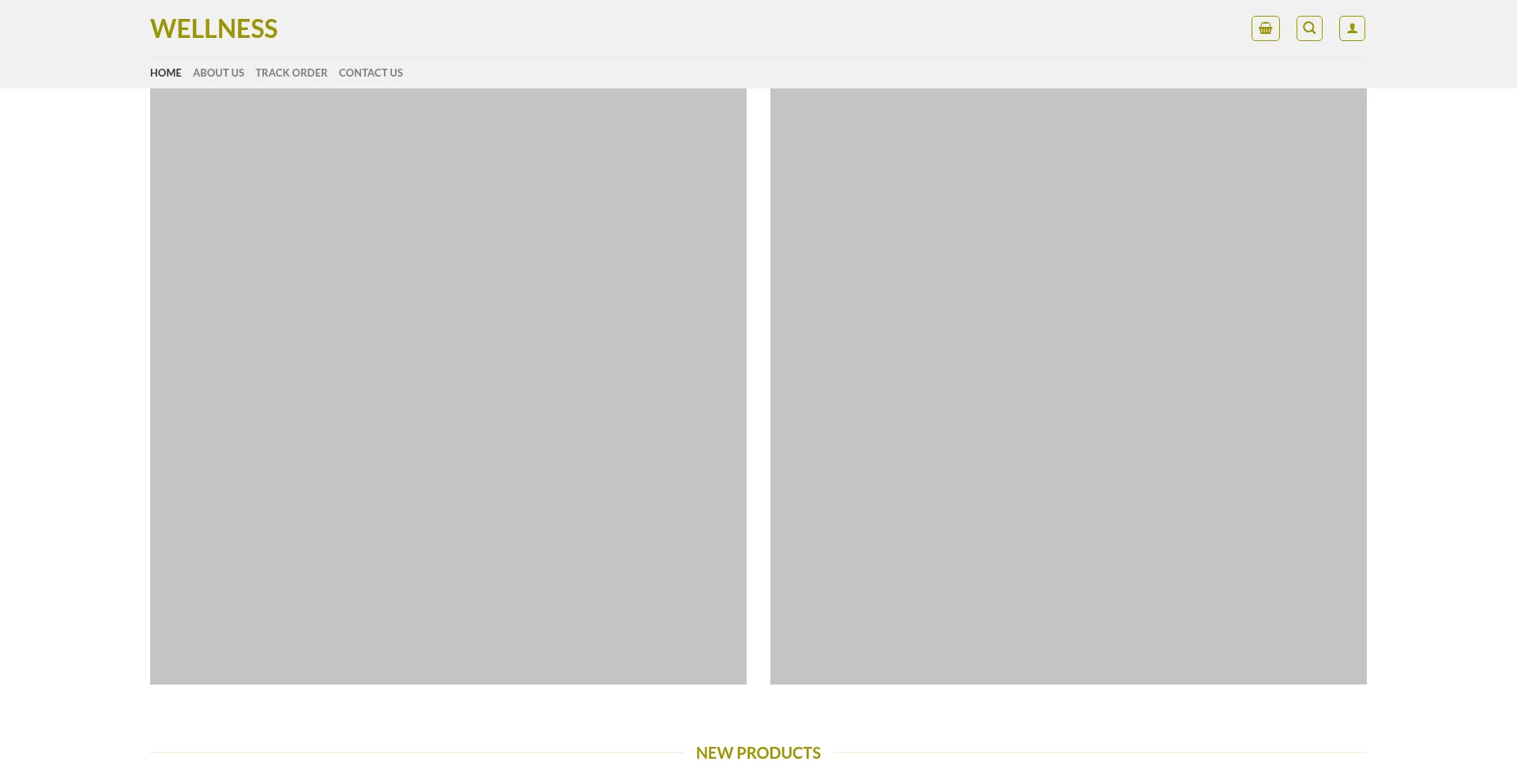 Website screenshot of Wellnesssin.com