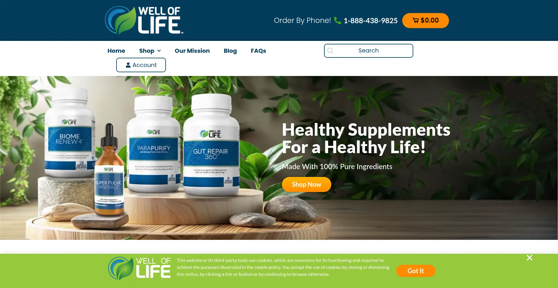 Welloflife.com Screenshot