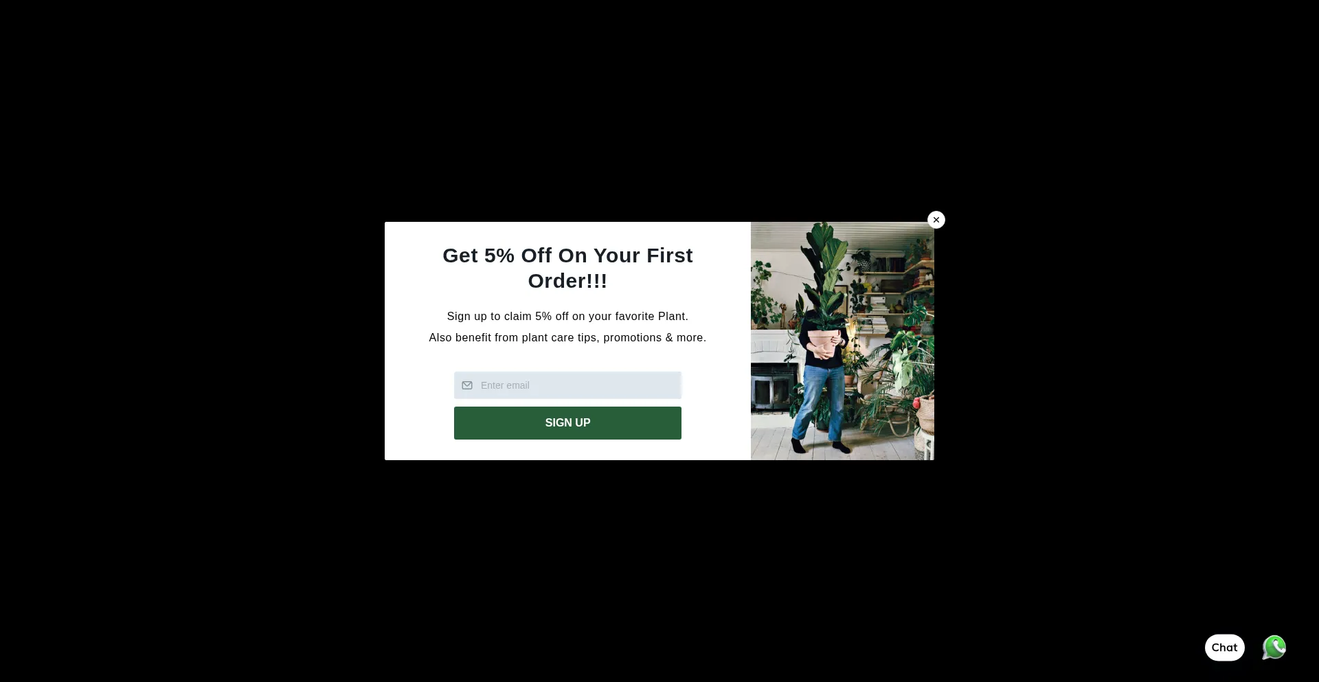 Is Wellpottedplantsae.com Safe?